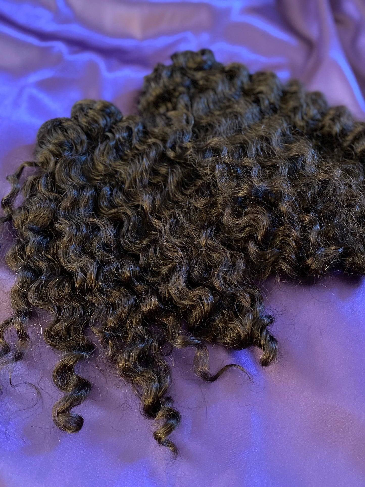 Burmese Wavy/Curly